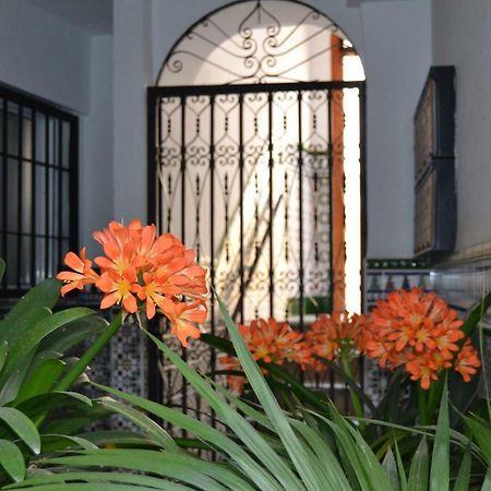 Nuevo Sueno Del Alcazar Διαμέρισμα Κόρδοβα Εξωτερικό φωτογραφία