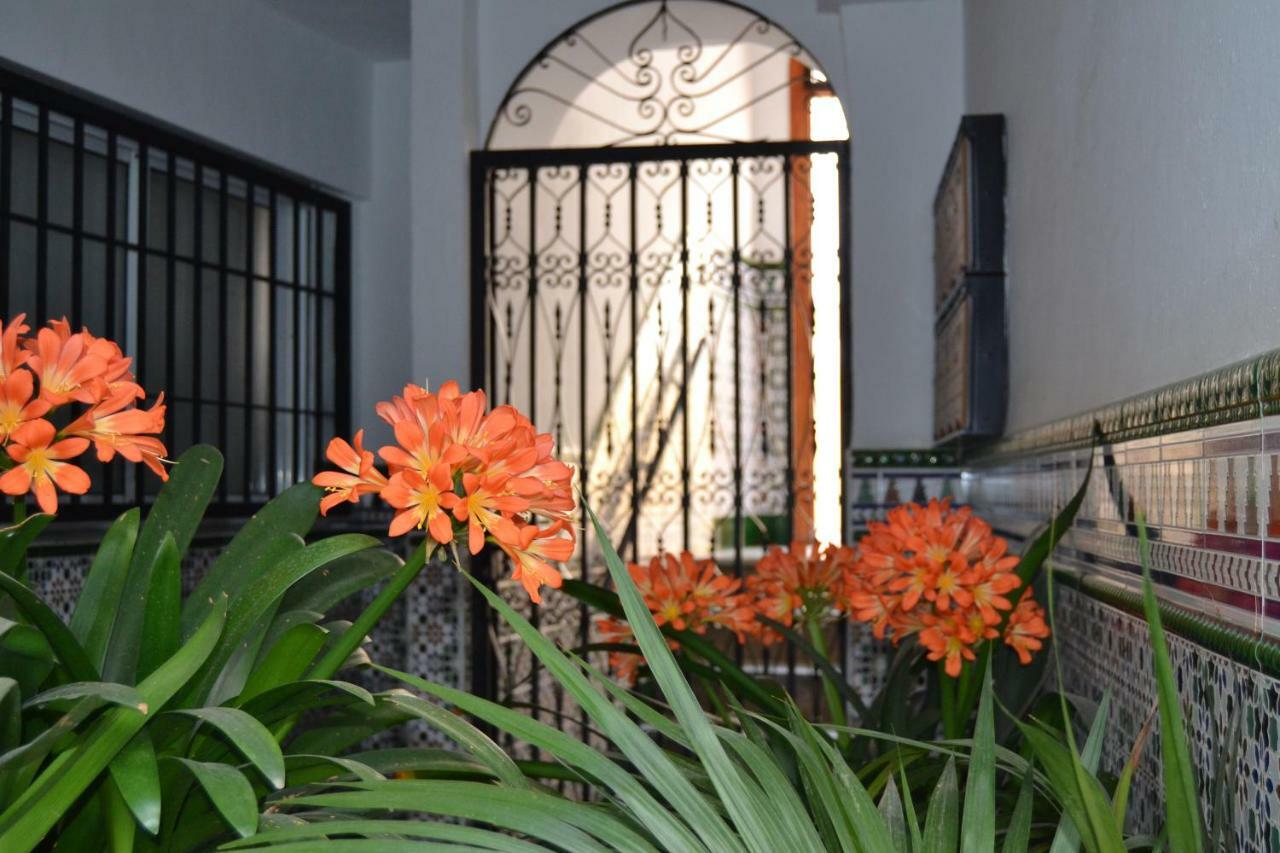 Nuevo Sueno Del Alcazar Διαμέρισμα Κόρδοβα Εξωτερικό φωτογραφία