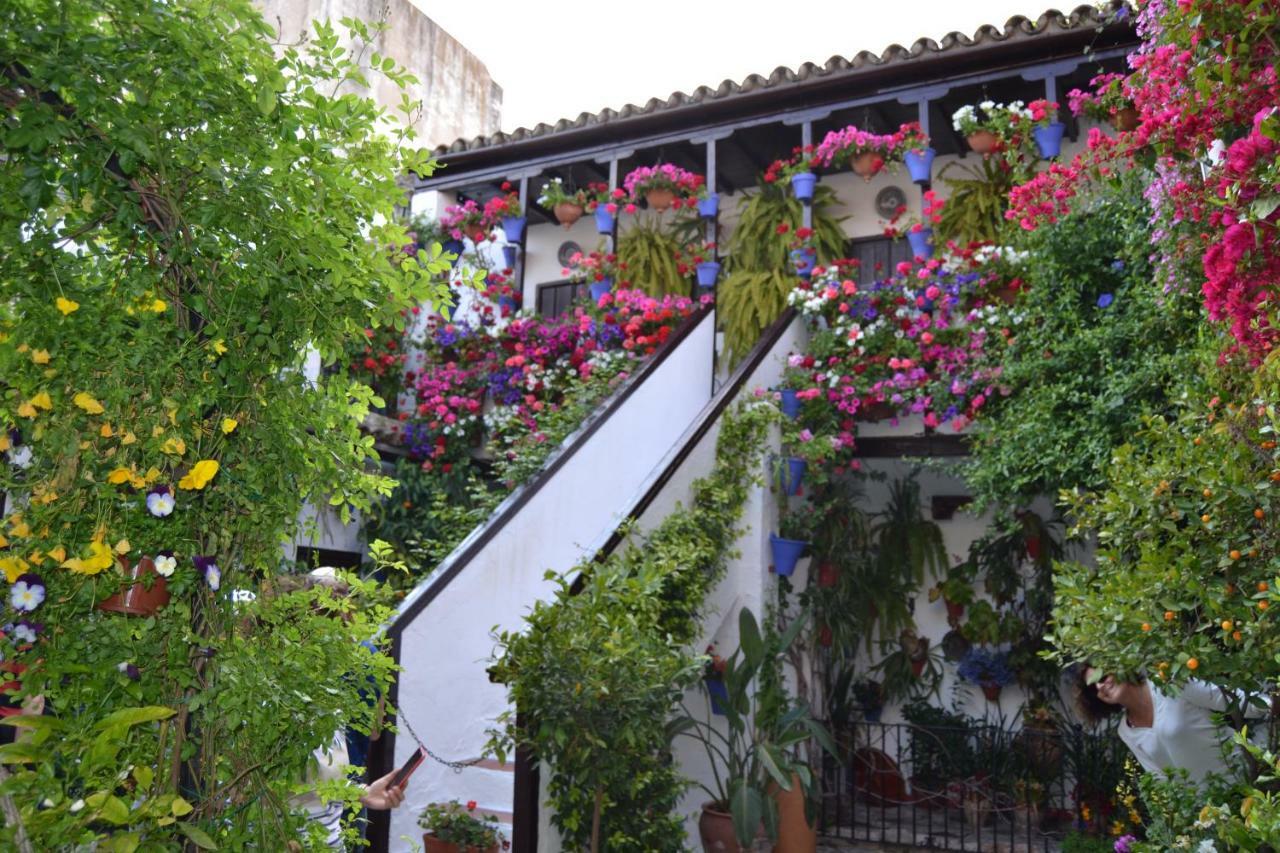 Nuevo Sueno Del Alcazar Διαμέρισμα Κόρδοβα Εξωτερικό φωτογραφία