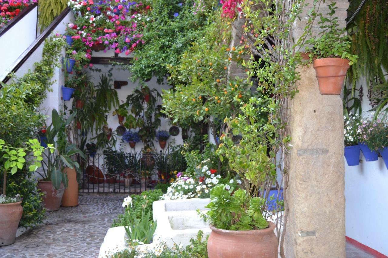Nuevo Sueno Del Alcazar Διαμέρισμα Κόρδοβα Εξωτερικό φωτογραφία